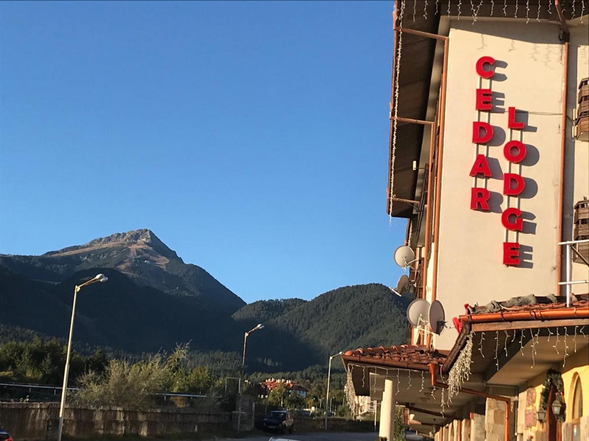 Ski Zone At Gondola, Perfect One Bdrm, Fast Wifi, Netflix, Quiet, Warm Bansko Esterno foto