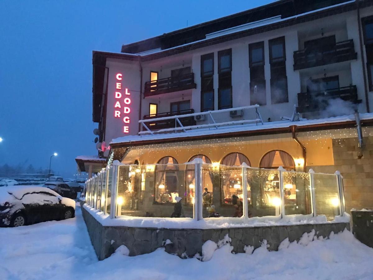 Ski Zone At Gondola, Perfect One Bdrm, Fast Wifi, Netflix, Quiet, Warm Bansko Esterno foto